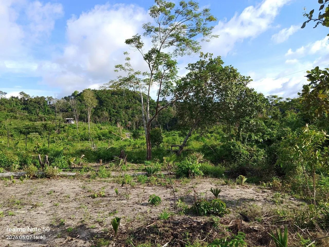 Terreno Lote - Foto 2