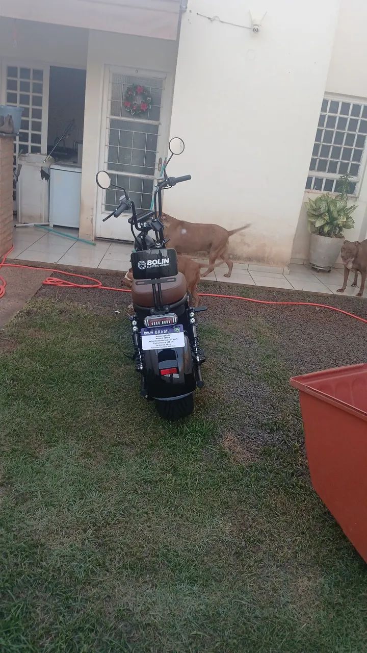 Marcelo Nascimento  - Foto 2