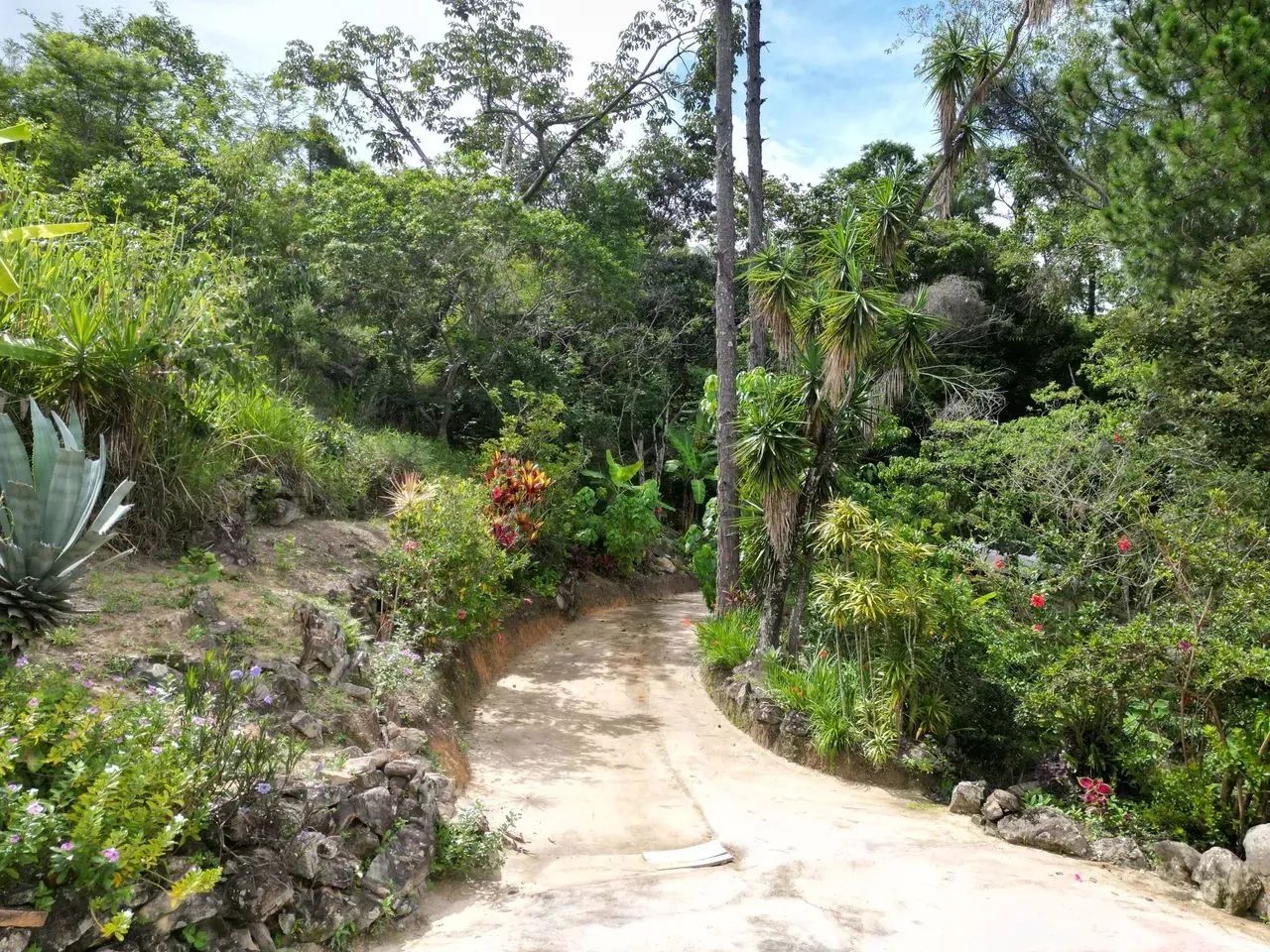 Oportunidade em Ravena: O Refúgio de Vó com Pomar Completo a 25 km de BH! - Foto 7