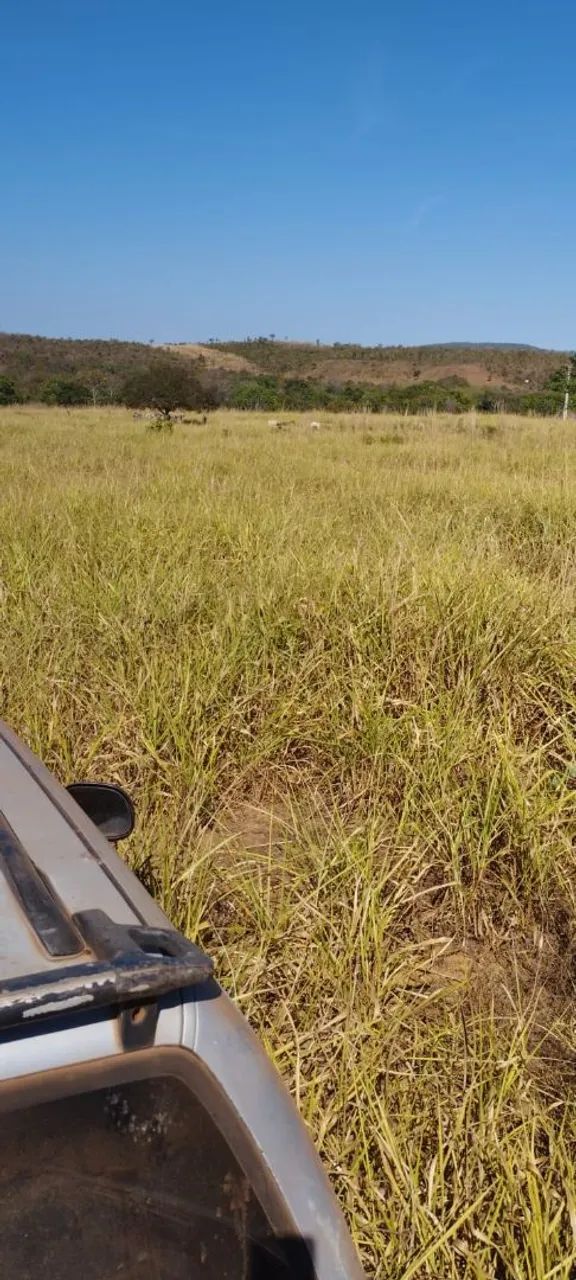 Chácara em Palmas. 600 mil.