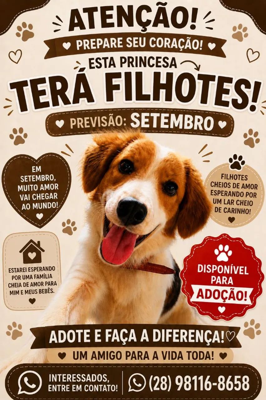 Doação de filhotes