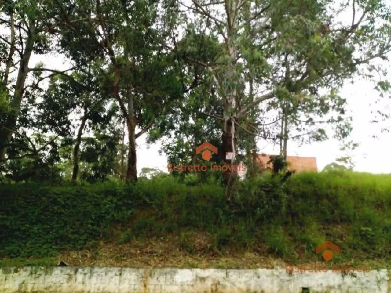 Terreno à venda, 494 m² por R$ 510.000,01 - Parque dos Príncipes - São Paulo/SP - Foto 3