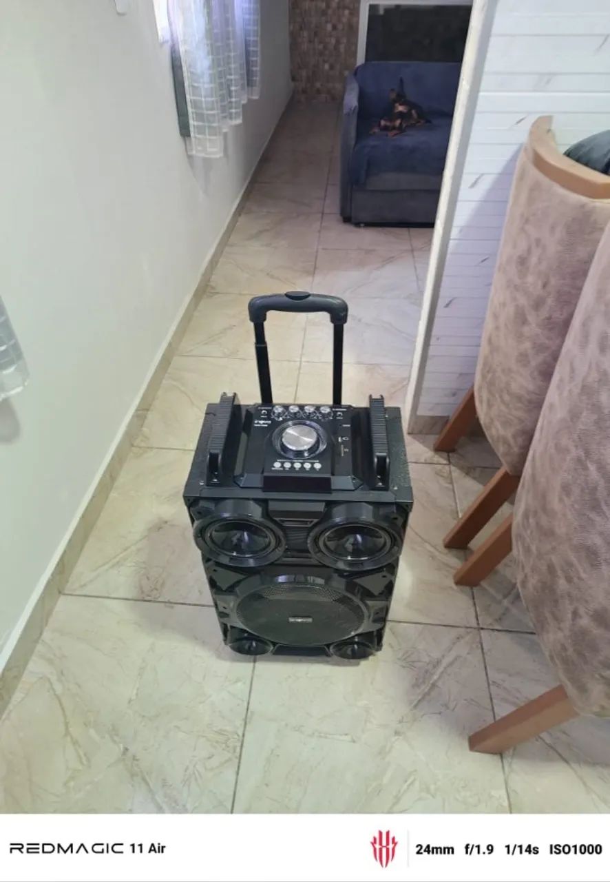 Caixa De Som 1.000 Watts  - Foto 2