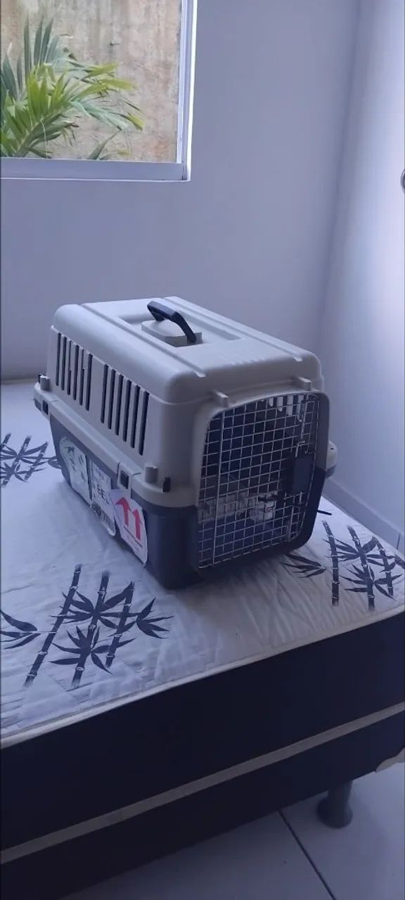 Transporte de pet - Foto 4