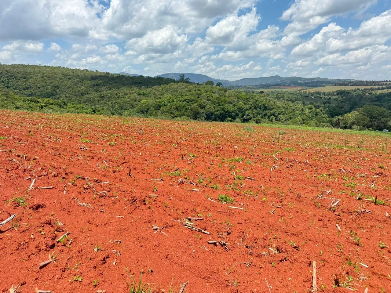 Fazendinhas em juatuba  - Foto 3