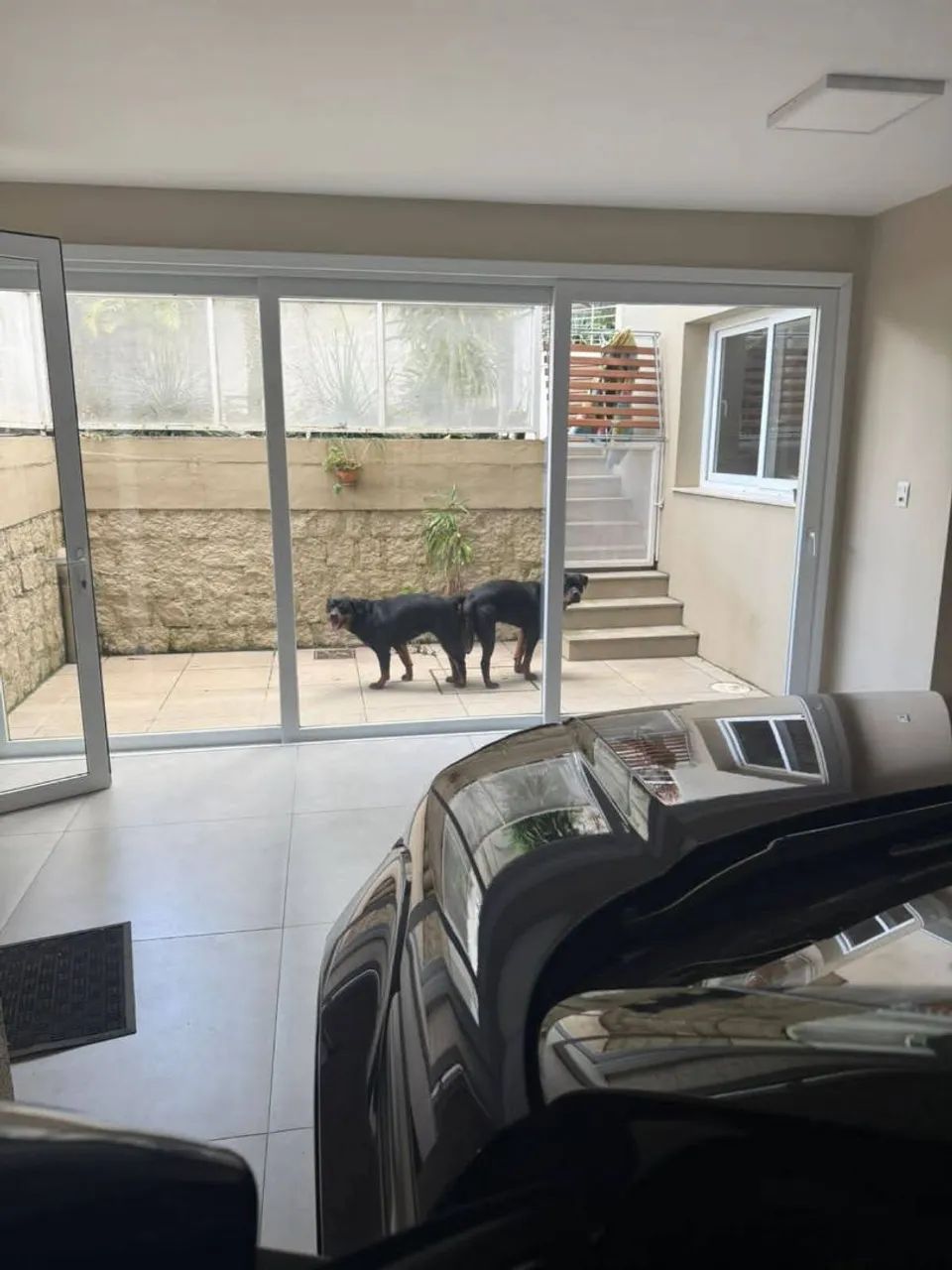 Rottweiler filhotes  - Foto 2