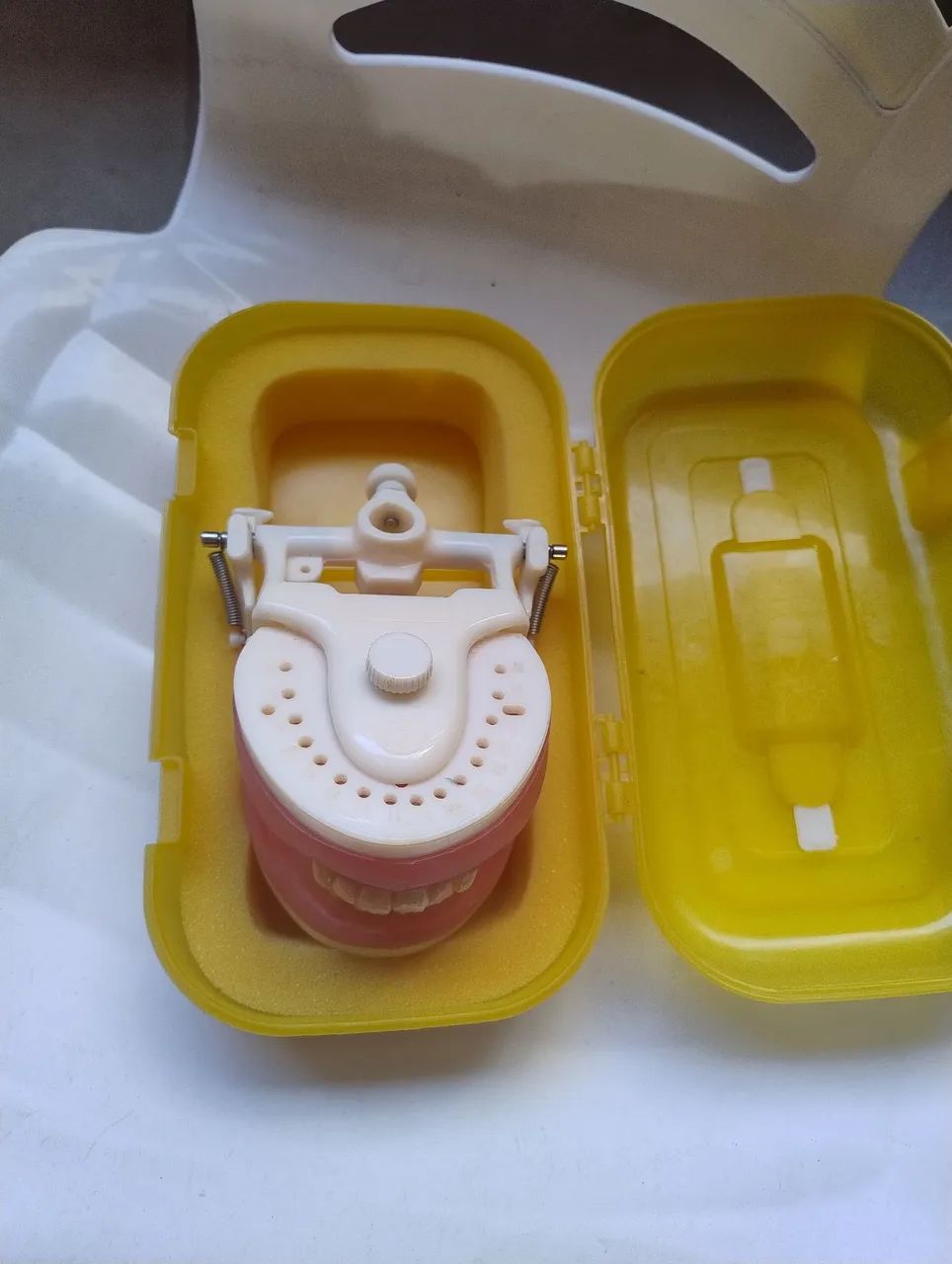 Manequim dentistica pronew  - Foto 4