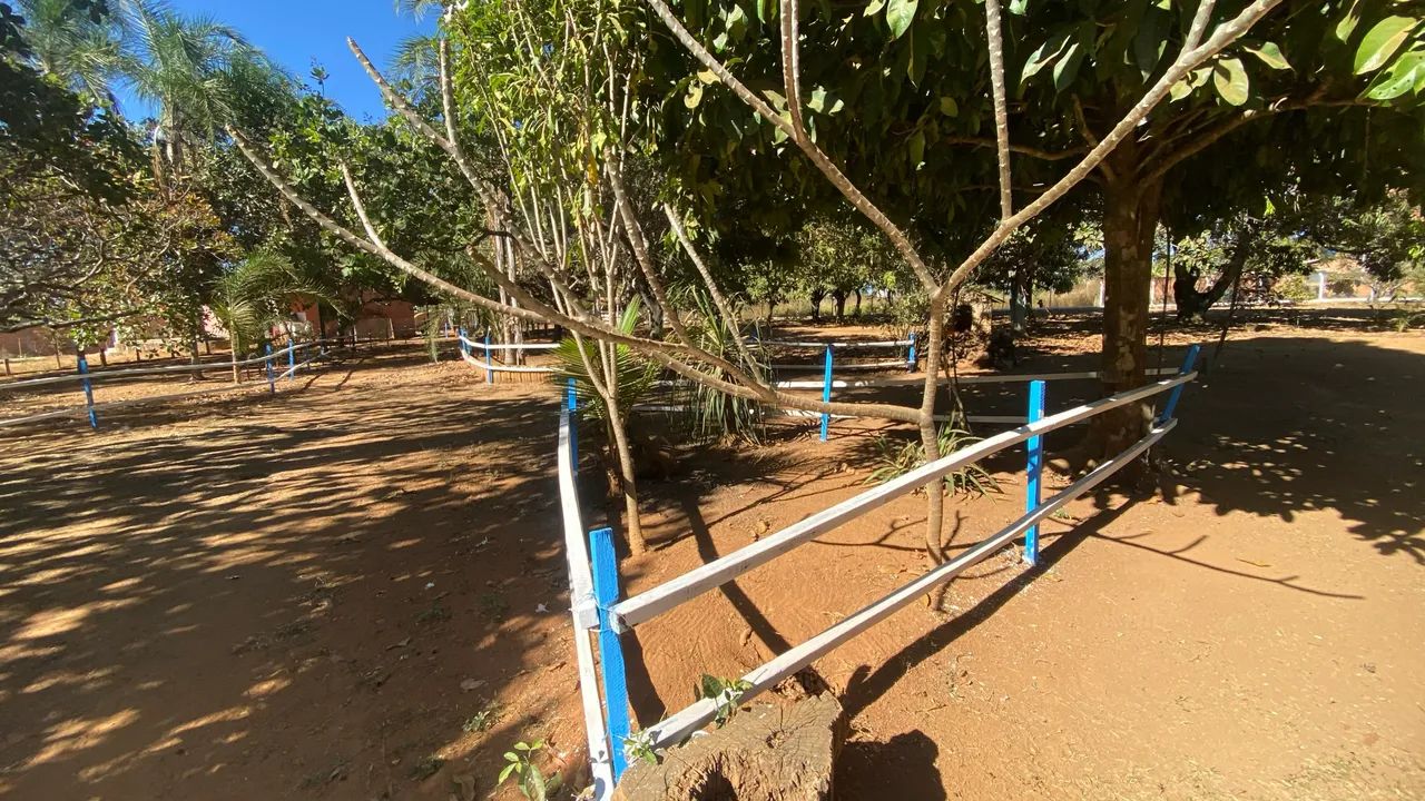 Vendo casa em 4 lotes total 6 mil metros  - Foto 2