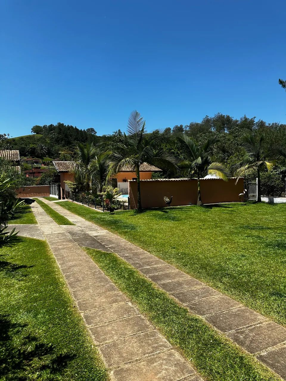 CHACARA - PONTE NOVA MONTEIRO LOBATO - Foto 10