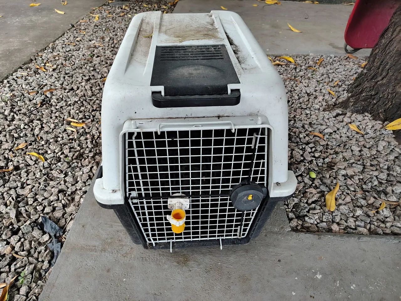 Caixa de transporte de animais grande - Foto 3