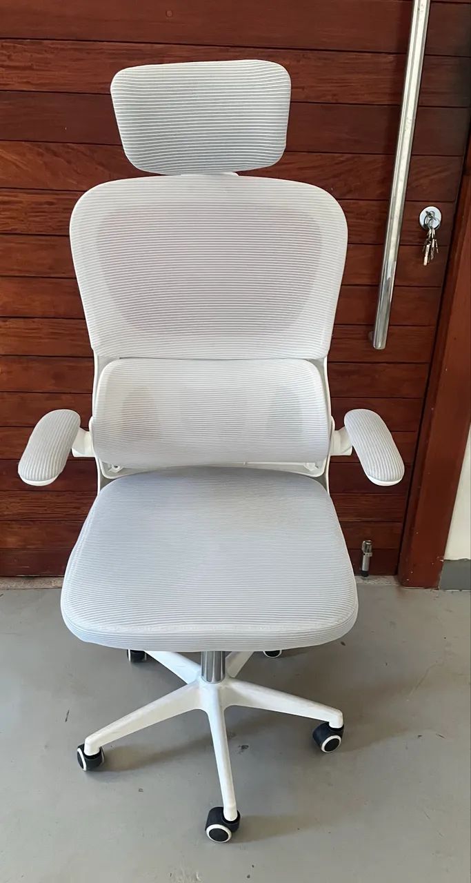 Cadeira ergonômica 