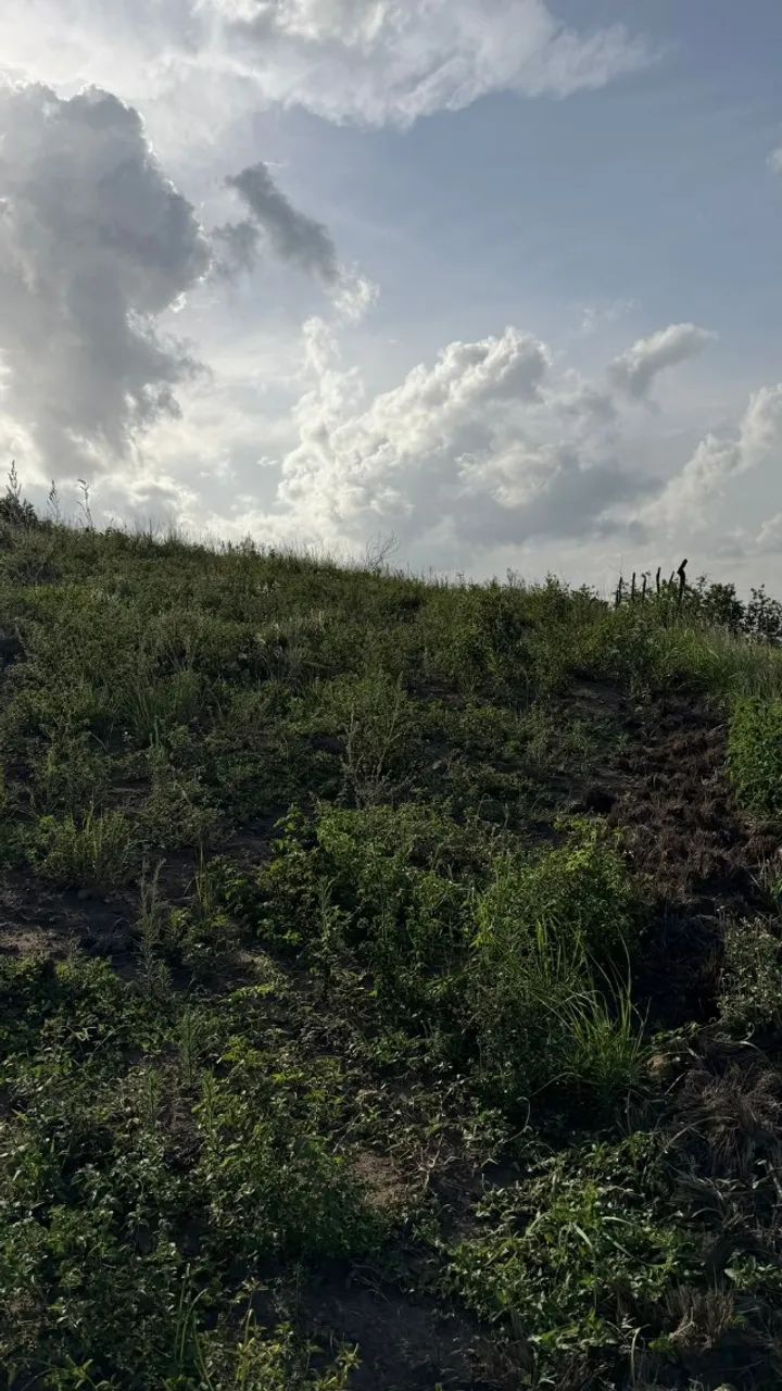 PROPRIEDADE RURAL À VENDA NO MUNICÍPIO DE POMBOS/PE - Foto 5