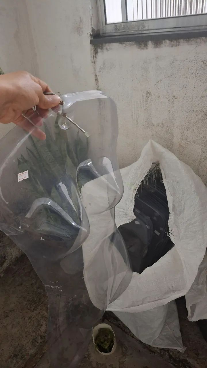 Cabides corpo e simples