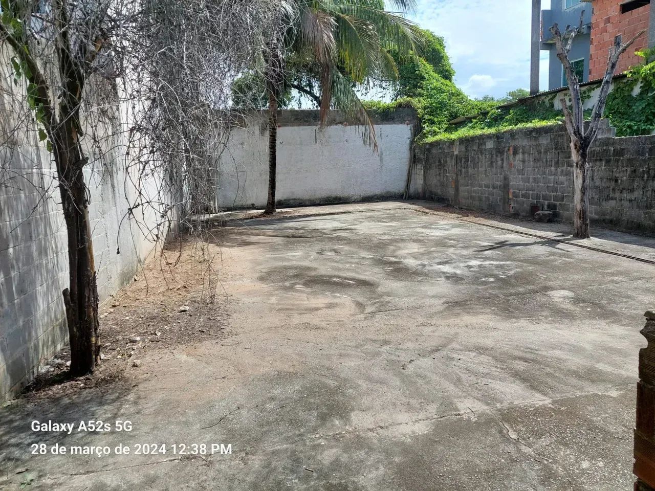 Lote C/ 200m2 Plano  Murado Rua Asfaltada em Maria Ortiz - Foto 4