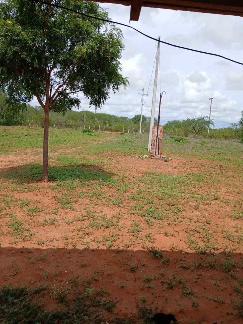 Vendo 5 tarefas  - Foto 5