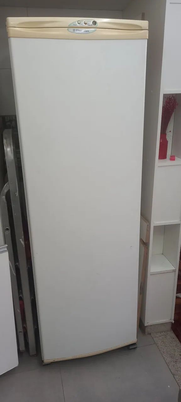 Freezer F250 Electrolux 