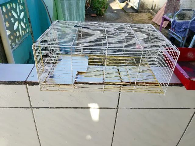 Gaiola para hamster e semelhantes  - Foto 2