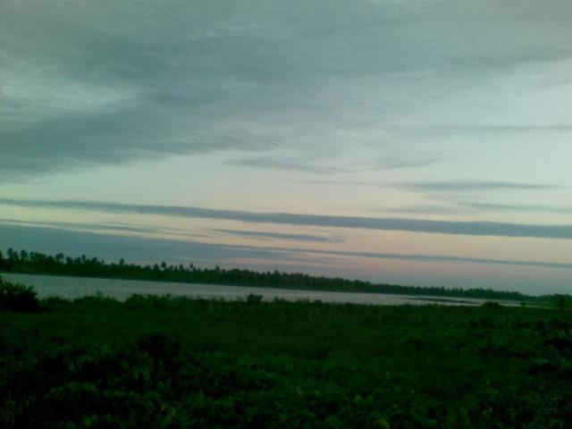 Fazenda 500ha - Foto 8