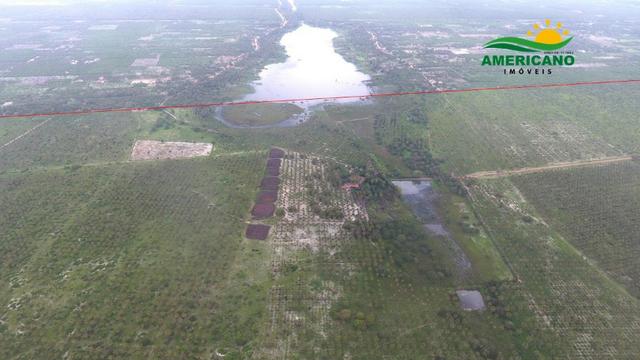 Fazenda 500ha - Foto 2