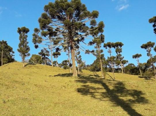Sitios em Urubici - Foto 6