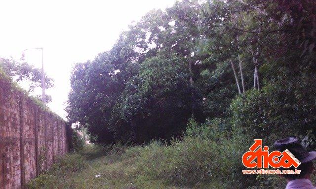 Sítio à venda em Aguas lindas, Ananindeua cod:7684 - Foto 10