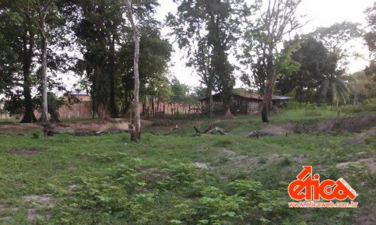 Sítio à venda em Aguas lindas, Ananindeua cod:7684 - Foto 2