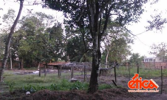 Sítio à venda em Aguas lindas, Ananindeua cod:7684 - Foto 17