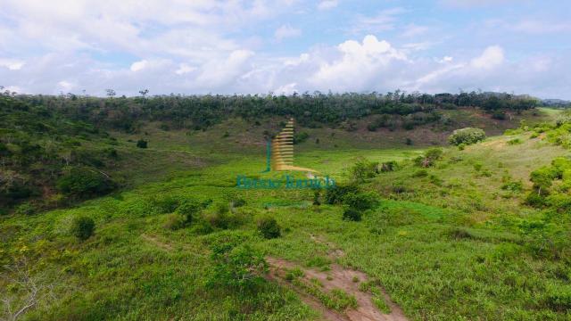 Fazenda à venda, 10115600 m² por r$ 8.000.000,00 - zona rural - nanuque/mg - Foto 17