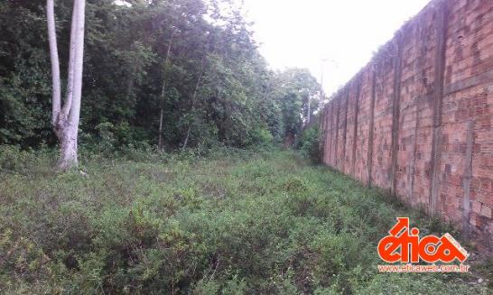 Sítio à venda em Aguas lindas, Ananindeua cod:7684 - Foto 6
