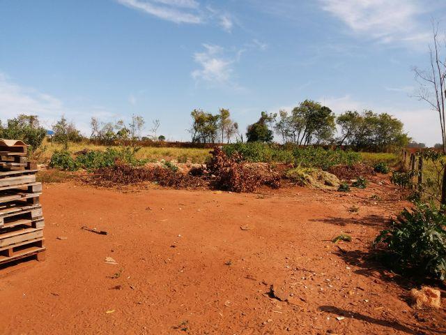 8310 | Chácara à venda em NÃO INFORMADO, NOVA ESPERANÇA - Foto 10