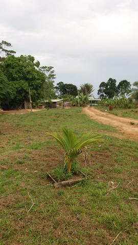 Colônia - Foto 11