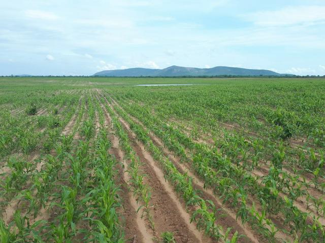 Fazenda em Barra