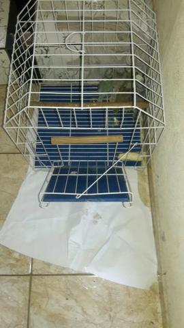 Gaiola ring neck - Foto 2