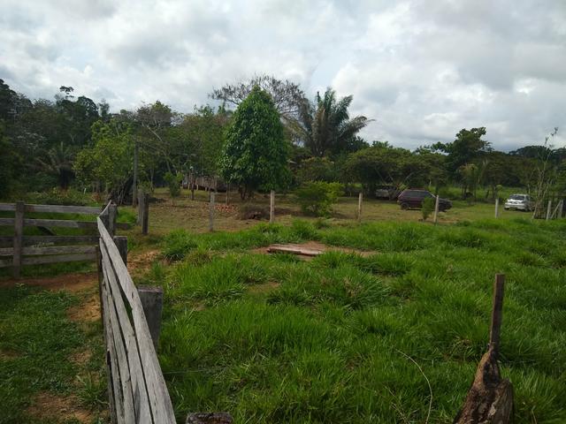 Vende-se chácara após o município do quinari 5 km, projeto Limeira ramal do calango - Foto 2