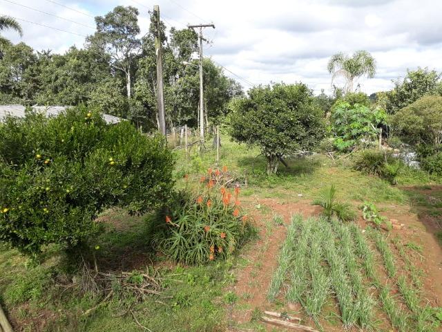 Linda Chácara A 15 Min. do Pinheirinho 14.000 m ² - Foto 4