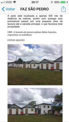 Vendo fazenda em coaraci ( oportunidade) - Foto 4
