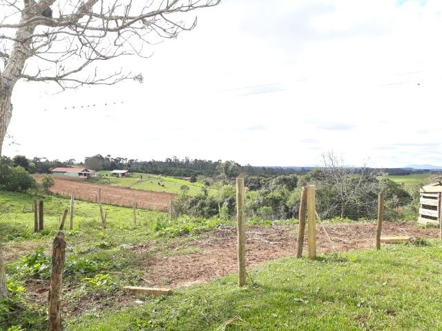 Linda Chácara A 15 Min. do Pinheirinho 14.000 m ² - Foto 3