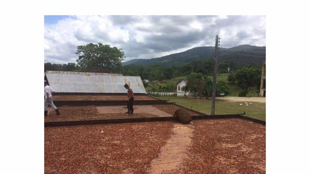 Vendo fazenda em coaraci ( oportunidade) - Foto 3