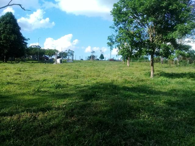 Vendo essa colonia - Foto 4
