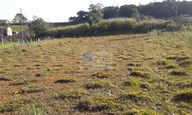 Área, Vila Gilcy, Campo Largo-PR - Foto 11
