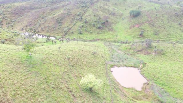 Fazenda ( Vendo ou Troco ) Propriedade Em Teotônio Vilela-AL - Foto 5