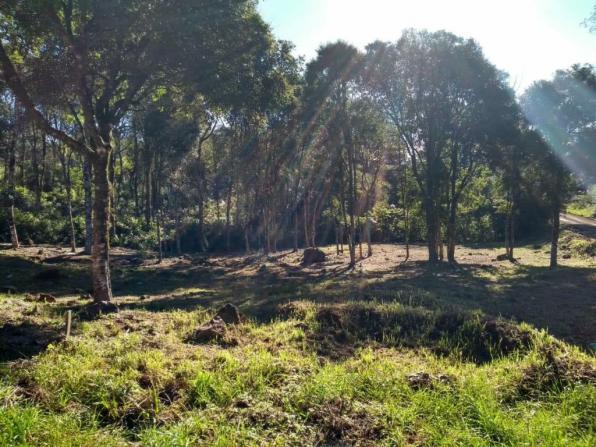 Terreno - Bairro Vale dos Pinheiros