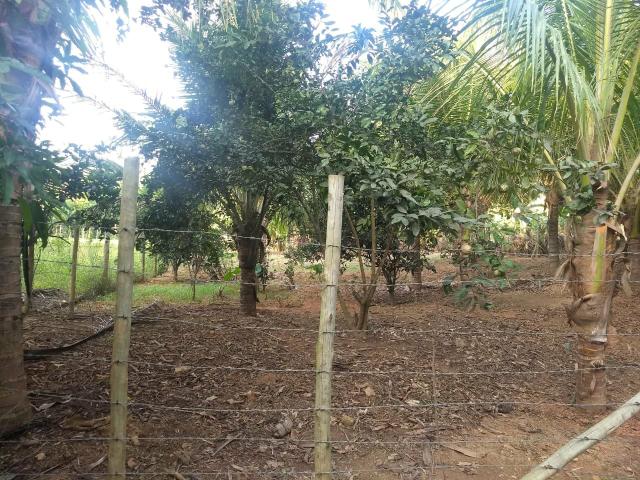 Vende se chácara - Foto 12
