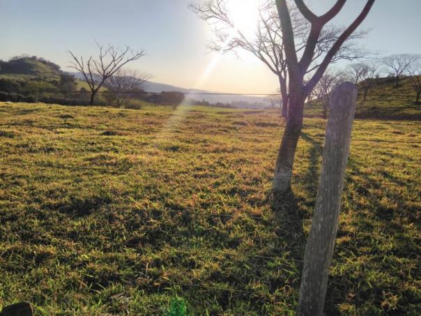 8271 | Fazenda à venda em ZONA RURAL, Cascavel
