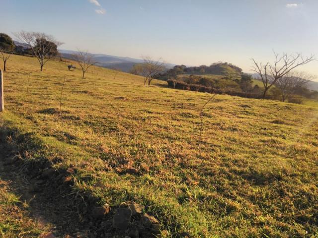 8271 | Fazenda à venda em ZONA RURAL, Cascavel - Foto 5