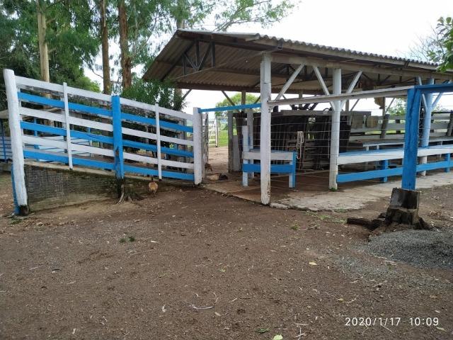Fazenda - Foto 10