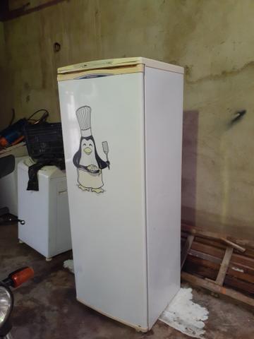 Troco frezer vertical