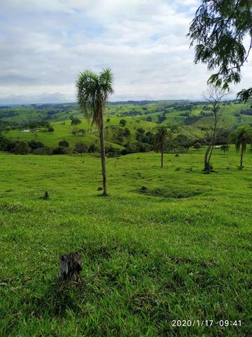 Fazenda - Foto 4