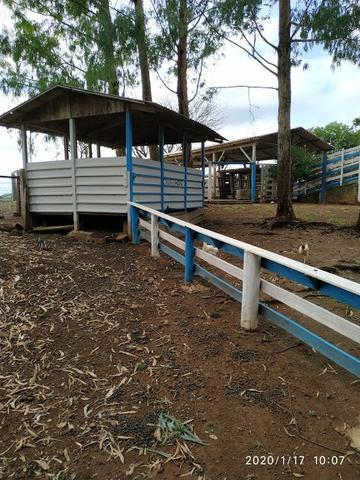 Fazenda - Foto 8