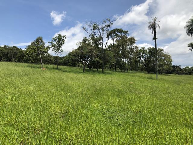 Chácaras de 20 mil Mt a 50 km dê Goiânia! - Foto 4